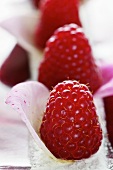 Raspberries in rose petals (close-up)