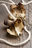 Two dried hosta leaves with a piece of felt string on a wooden surface