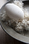 A duck egg on dandelion seeds on an old plate