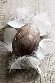 A coloured duck egg and white feathers