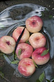 Poached peaches in syrup with lemon verbena