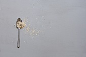 Oat bran on a spoon (seen from above)