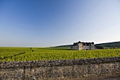 Château de Vougeot, das Schloss im Clos Vougeot ist Sitz der Bruderschaft Chevaliers des Tastevin, Burgund, Frankreich