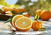 Halved oranges and mandarins on a glass plate