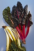 Red and yellow-stem chard