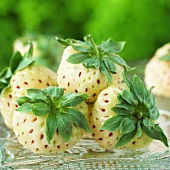 weiße Erdbeeren