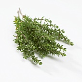 Thyme