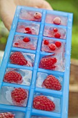 Red currant and raspberry ice cubes