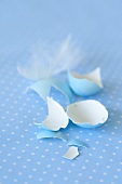 A broken egg shell and a white feather on a blue and white surface