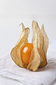 Physalis on a white towel