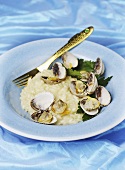 Risotto with Venus mussels