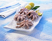 Raw octopus