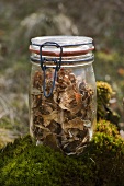 Dried porcini mushrooms in a preserving jar on moss