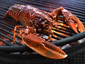 A lobster on a grill
