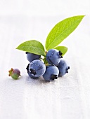 Fresh blueberries with leaves