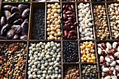 A seedling tray filled with various legumes