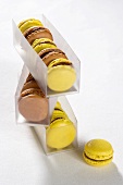 Chocolate macaroons and yellow macaroons in a plastic box