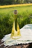 A bottle of rapeseed oil on a wooden bench with a blooming rapeseed oil field in the background