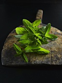 Fresh mint on a wooden board