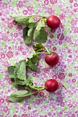 Three radishes on a floral patterned surface