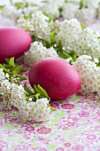 Spiraea with red Easter eggs