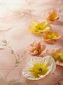 Mohnblumen auf floral gemustertem Tuch