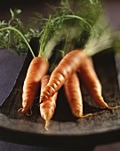 Five carrots in a wooden bowl