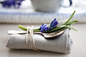 A spoon and a blue hyacinth on a napkin