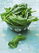 A bowl of fresh spinach