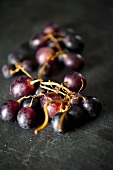 Red grapes