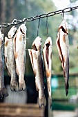 Gutted fish hanging from hooks