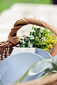 Crockery and a bunch of flowers in a picnic basket (close-up)