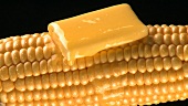 Knob of melting butter on cob of corn