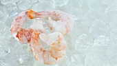 Frozen scampi on ice