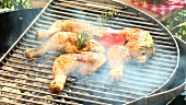 Chicken legs with rosemary on a barbecue
