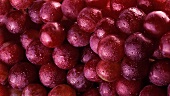 Rote Trauben mit Wassertropfen (Bildfüllend)