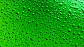 Drops of water on green background