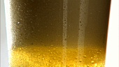 Ein Glas Bier einschenken (Ausschnitt)