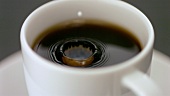 Milchtropfen fallen in eine Tasse Kaffee