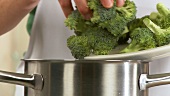 Broccoli florets being placed in boiling water