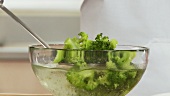 Blanching broccoli: removing the vegetables from the iced water