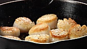 Scallops being seasoned with pepper