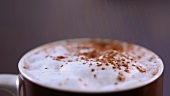 Milk foam being sprinked with cocoa powder