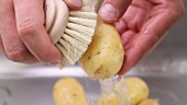 Potatoes being washed under running water