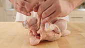Geflügel (hier Hähnchen) vorbereiten: binden, zerteilen