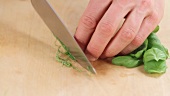 Basil leaves being chopped