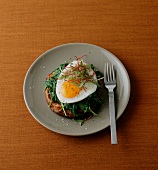Potato pancakes with spinach and fried egg