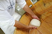 Making buffalo mozzarella, province of Caserta, Italy