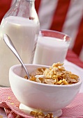 A Bowl of Cornflakes with Milk