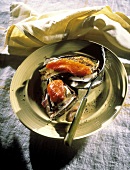 Grilled Eggplant with Roasted Red Pepper; Mozarella
